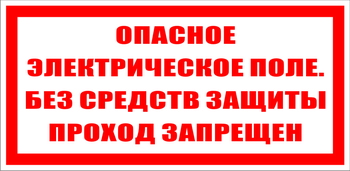 S13 опасное электрическое поле. без средств защиты проход запрещен (пластик, 200х100 мм) - Знаки безопасности - Знаки по электробезопасности - Магазин охраны труда и техники безопасности stroiplakat.ru